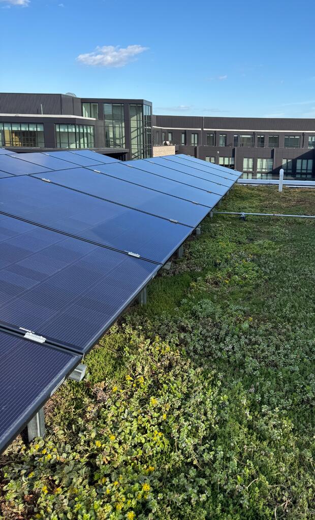 Vegetative roof and amenity deck