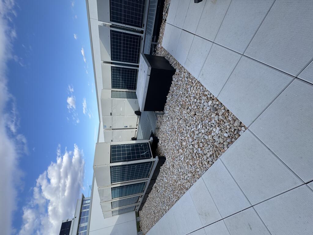 Vegetative roof and amenity deck