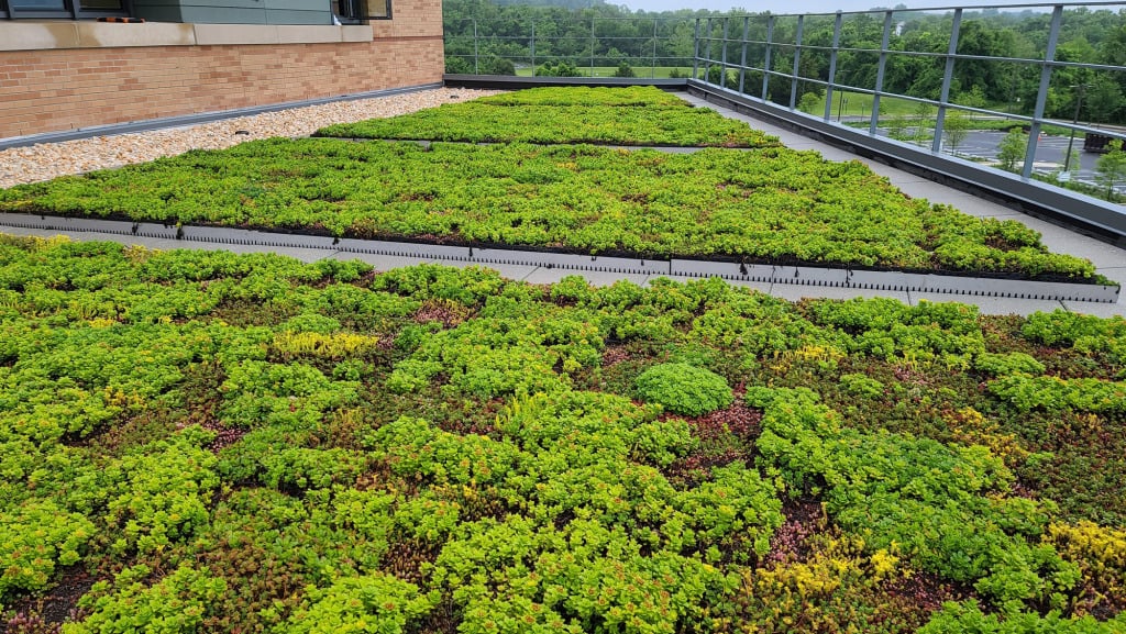 Biomedical Sciences Building