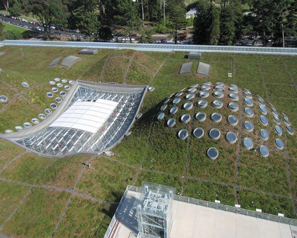 California Academy of Sciences