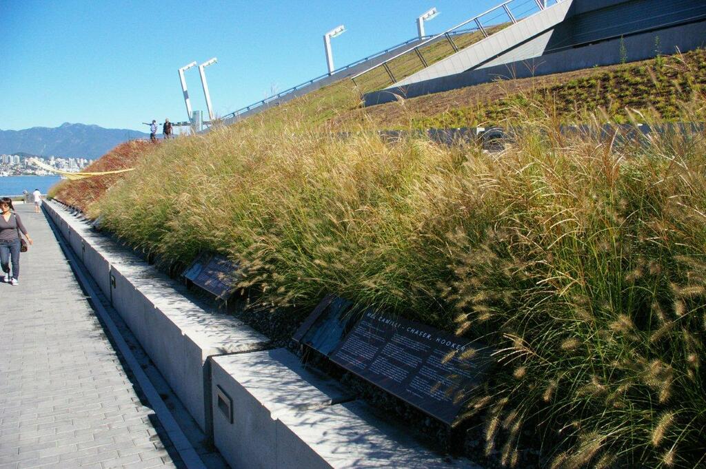 garden roof