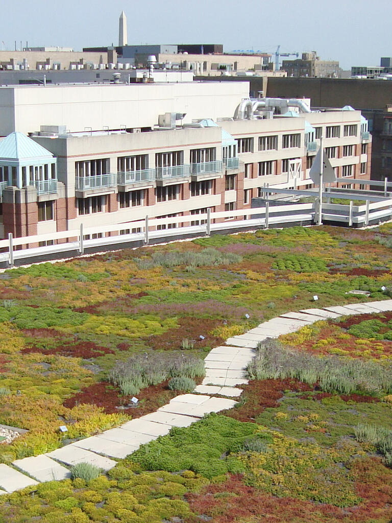 World Wide Fund for Nature Headquarters