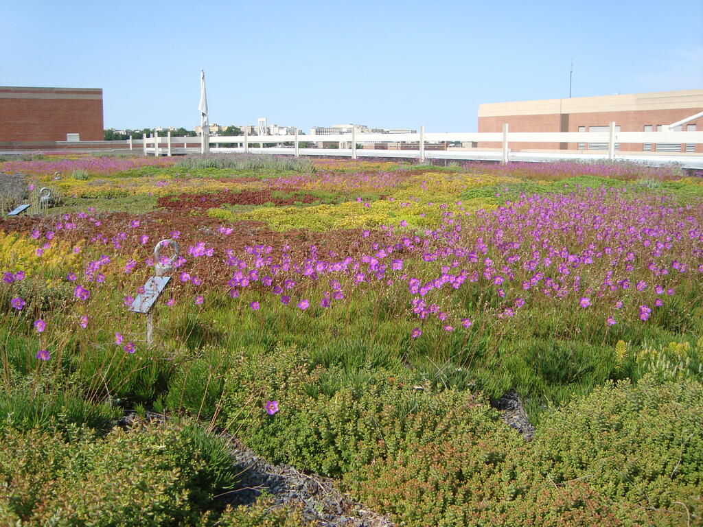 World Wide Fund for Nature Headquarters