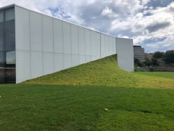 green roof