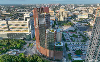 vegetated roof, green roof, amenity deck