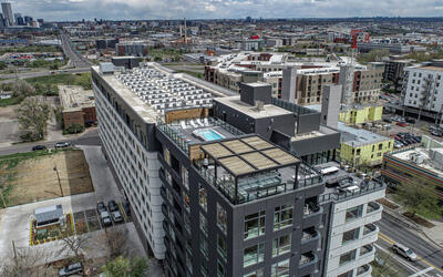vegetated roof, green roof, amenity deck