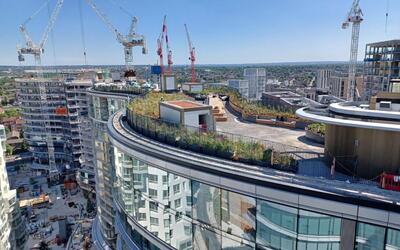 vegetated roof, green roof, amenity deck