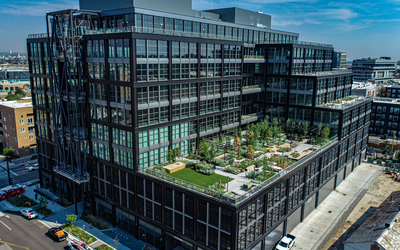 vegetated roof, green roof, amenity deck