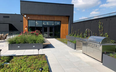 vegetated roof, green roof, amenity deck